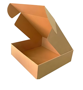 Kilitli Karton Kutu 30x20x10 cm.