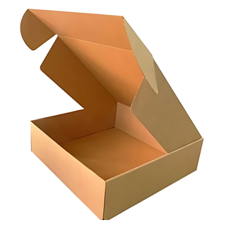 Kilitli Karton Kutu 23x14x8 cm.